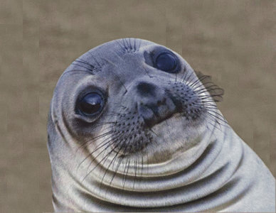 1611326228149.gif