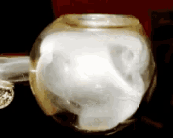 1700424639673.gif