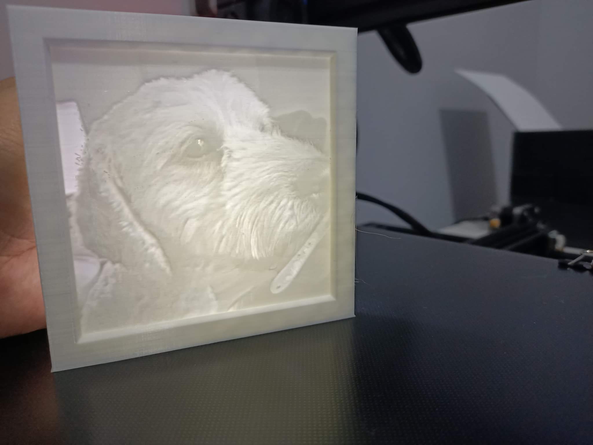 78387752_10218823697796543_8684833573737332736_n.jpg