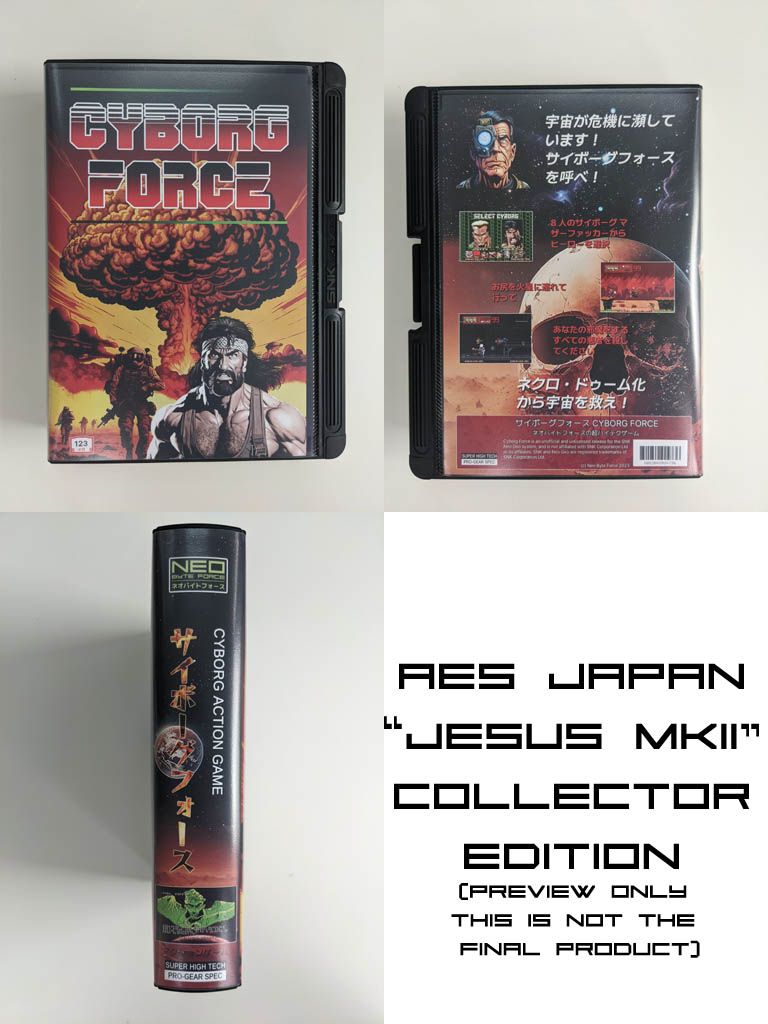 aes-jp11.jpg