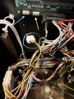 IMG_2957.jpeg