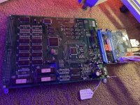 IMG_4236.jpeg