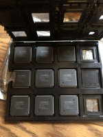 IMG_3905.JPEG