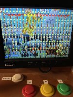 IMG_1105.jpeg