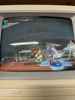 IMG_1206.jpeg