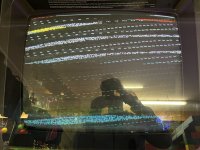 image_50412289.JPG