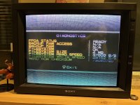 IMG_4650.jpeg