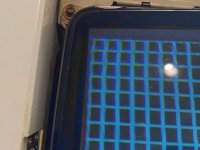 IMG_6775.jpeg