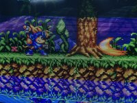 IMG_4723.jpeg