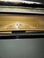 IMG_4779.jpeg