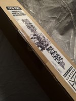 IMG_8614.jpeg