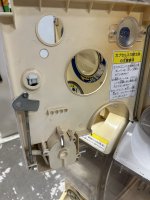 IMG_4383.jpeg