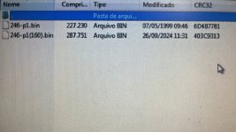 IMG_8246.jpeg