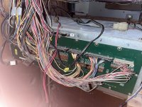 IMG_6325.jpeg