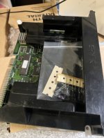 IMG_5611 Medium.jpeg