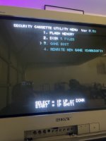 IMG_5613 Medium.jpeg