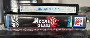 IMG_1107.jpeg