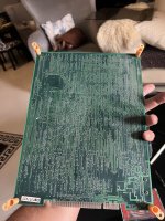 IMG_8493.jpeg