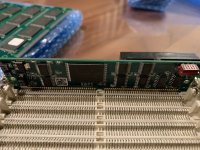 IMG_3644.jpeg