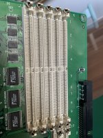 IMG_3651.jpeg