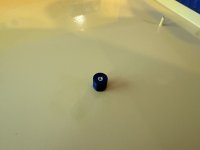 IMG_1342.jpeg