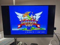 IMG_4127.JPEG
