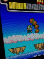 IMG_4021.jpeg