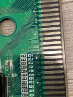 IMG_8990.jpeg