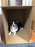 IMG_3522.jpeg