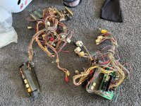 IMG_7100.jpeg