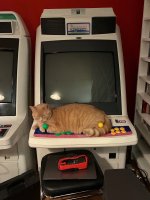 IMG_4882.jpeg