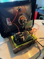 IMG_4885.jpeg