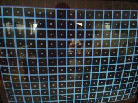 IMG_4903.jpeg