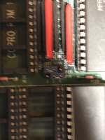 IMG_5311.JPEG