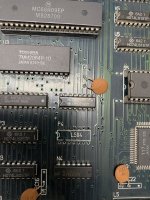 IMG-3550.jpg