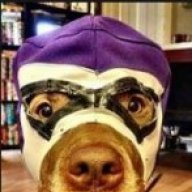 Neodogg