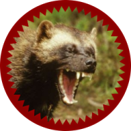 Scorched Wolverine