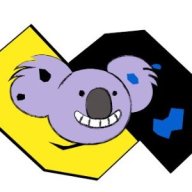 Koala_Koa