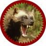 Scorched Wolverine