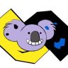 Koala_Koa