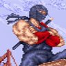 ninja gaijin