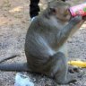 Banane
