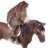 Bardiches